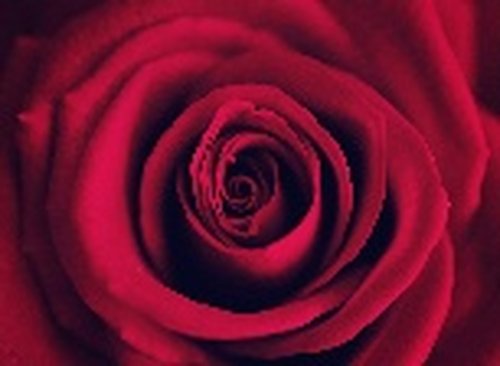 A Rose By Any Other Name facial, Edinburgh