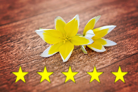Frangipani Pampering massage Edinburgh